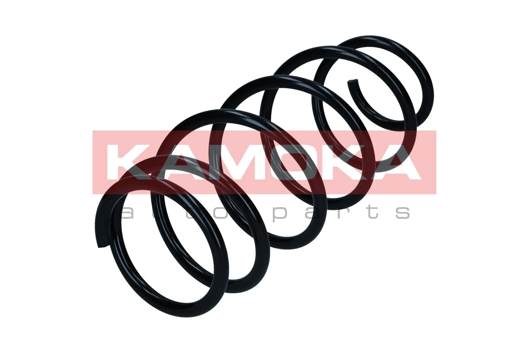 Suspension Spring 2110462