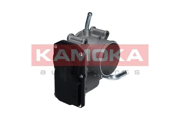 Throttle Body 112017