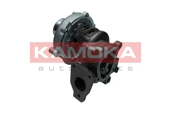 Charger, charging (supercharged/turbocharged) 8600050