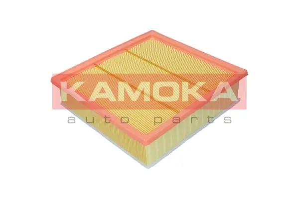 Air Filter F246701