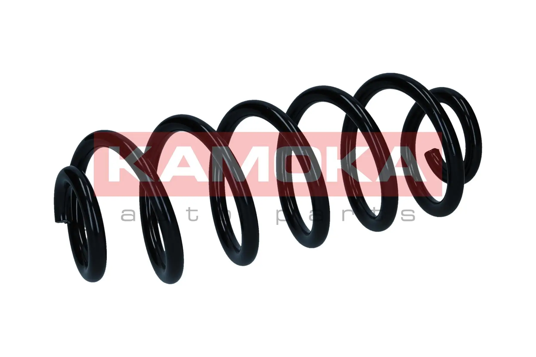 Suspension Spring 2120565
