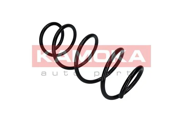 Suspension Spring 2110359