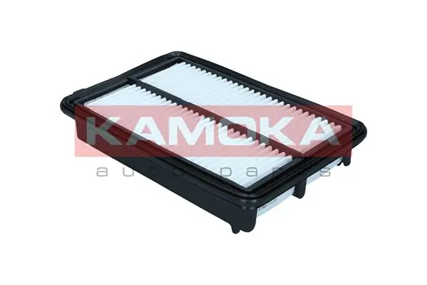 Air Filter F256801