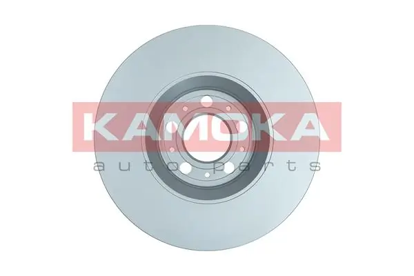 Brake Disc 1032852