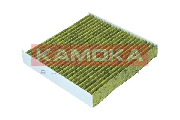 Filter, cabin air 6080144