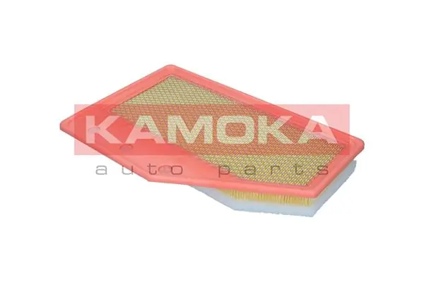 Air Filter F258201