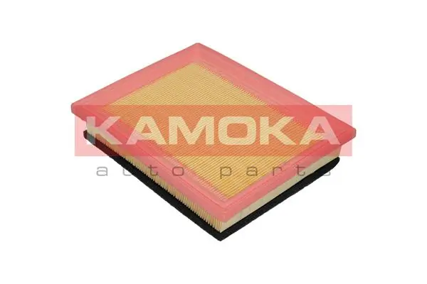 Air Filter F234801