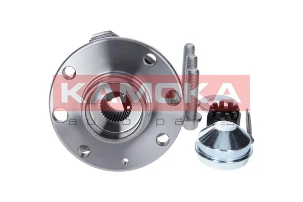 Wheel Bearing Kit 5500061