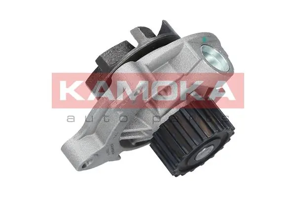 Water Pump, engine cooling T0271
