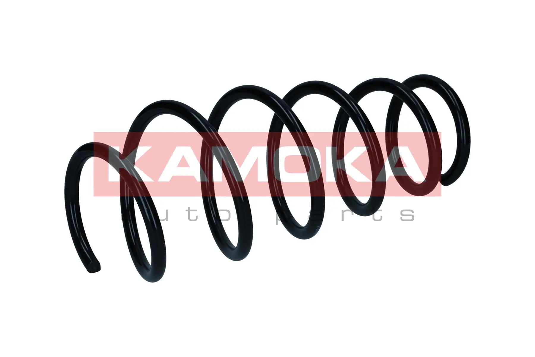 Suspension Spring 2110668