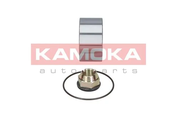 Wheel Bearing Kit 5600019
