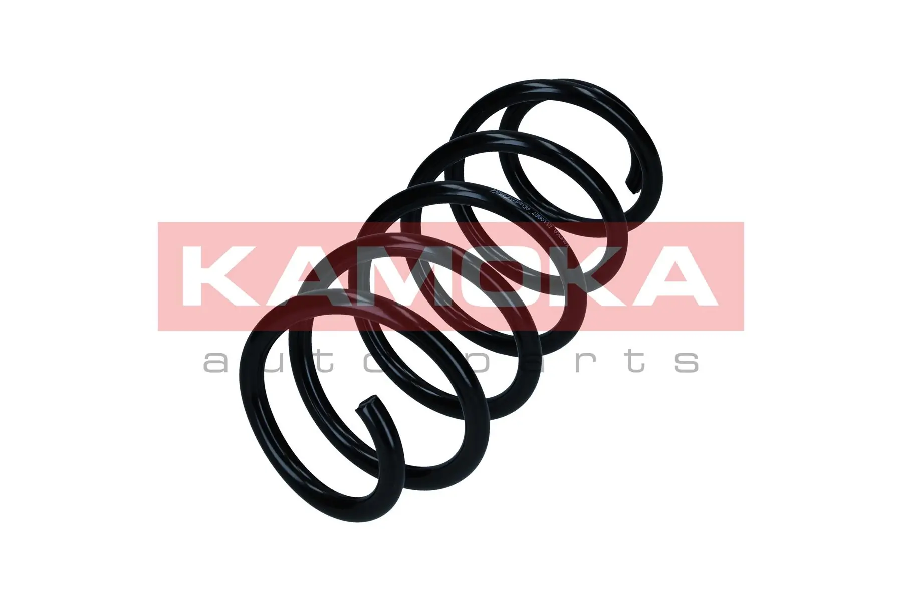 Suspension Spring 2120031