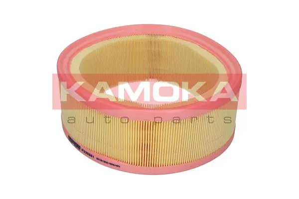Air Filter F235501