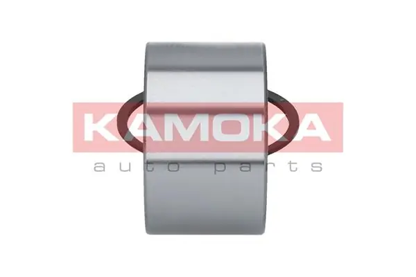 Wheel Bearing Kit 5600018