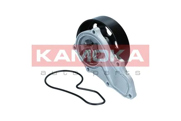 Water Pump, engine cooling T0304