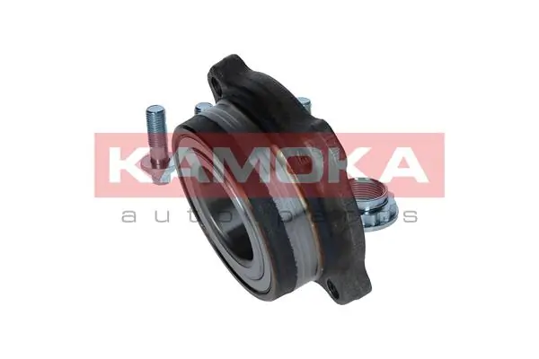 Wheel Bearing Kit 5500187