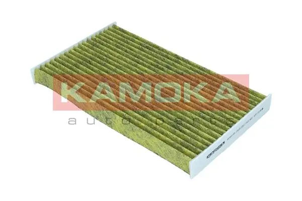 Filter, cabin air 6080155