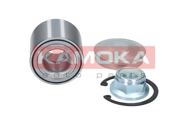 Wheel Bearing Kit 5600067