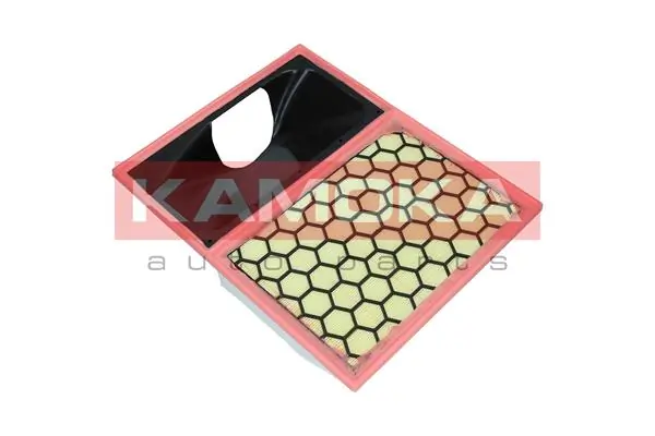 Air Filter F253501