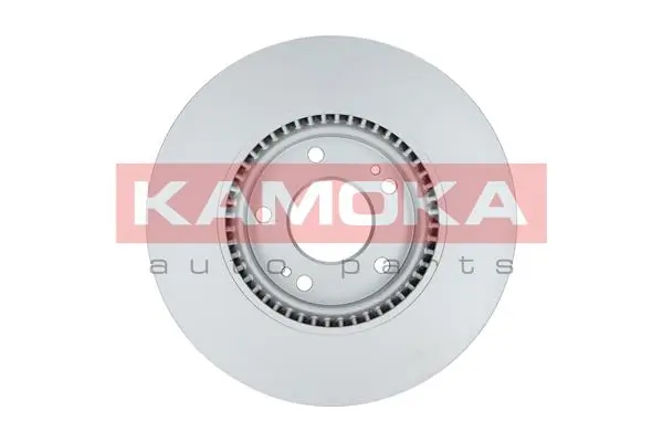 Brake Disc 1031070