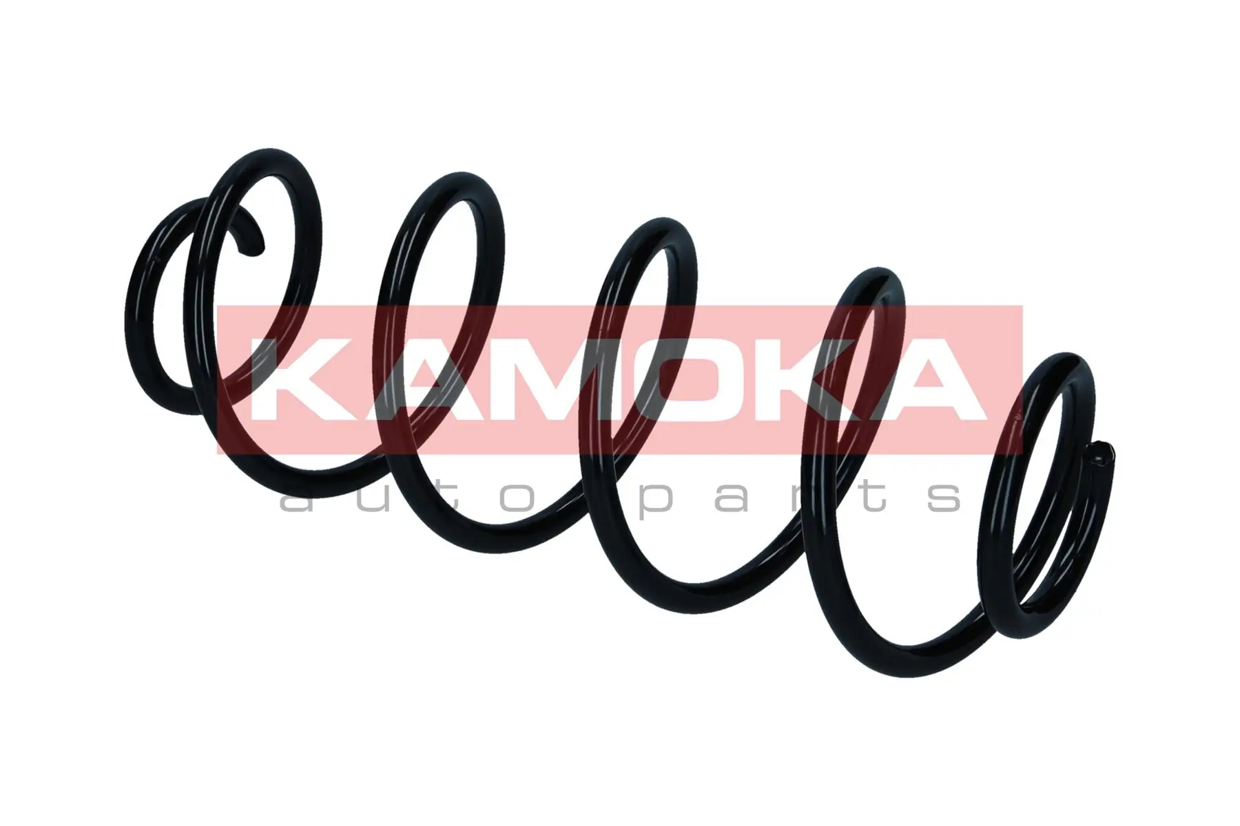 Suspension Spring 2120571