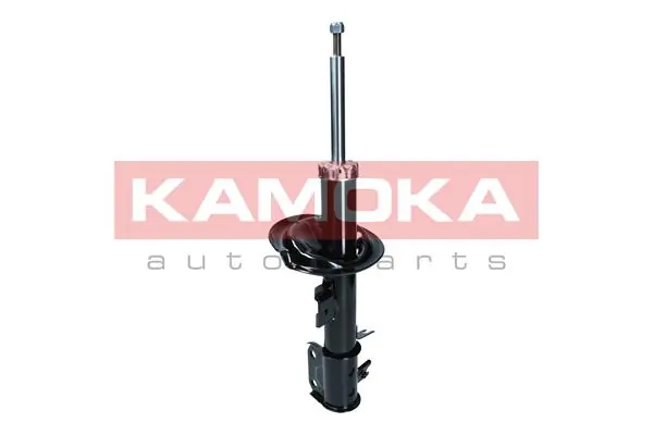 Shock Absorber 2000553