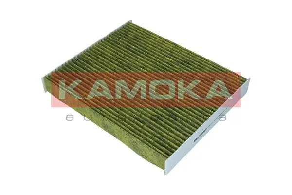 Filter, cabin air 6080110