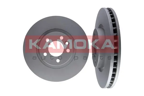 Brake Disc 1031119
