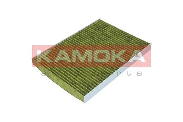Filter, cabin air 6080048