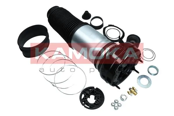 Air Spring, suspension 2079006