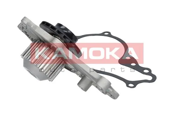 Water Pump, engine cooling T0081