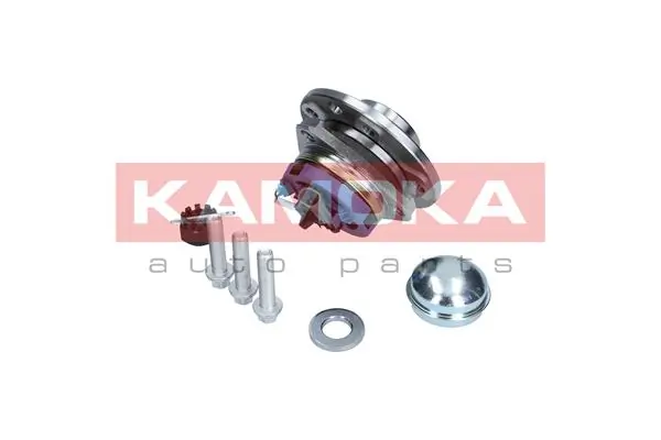 Wheel Bearing Kit 5500059