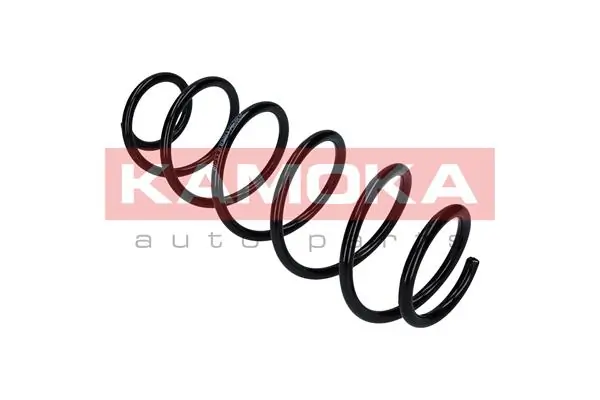 Suspension Spring 2120296