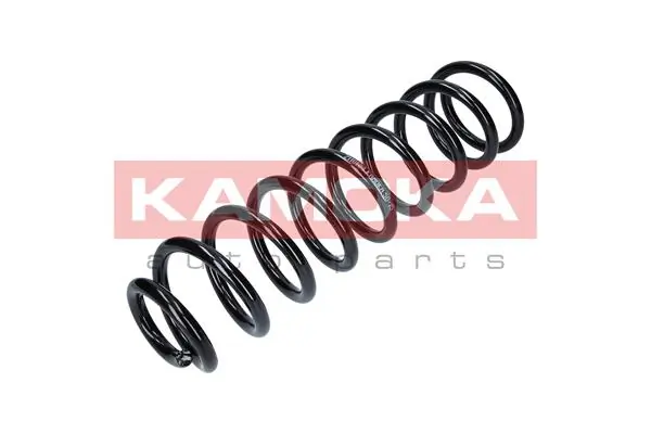 Suspension Spring 2110184