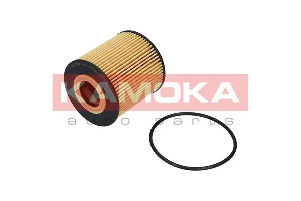Oil Filter F107001