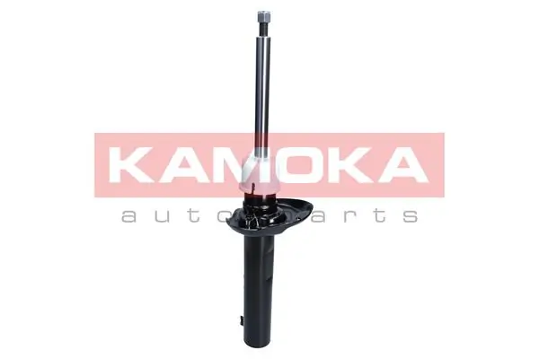 Shock Absorber 2000484