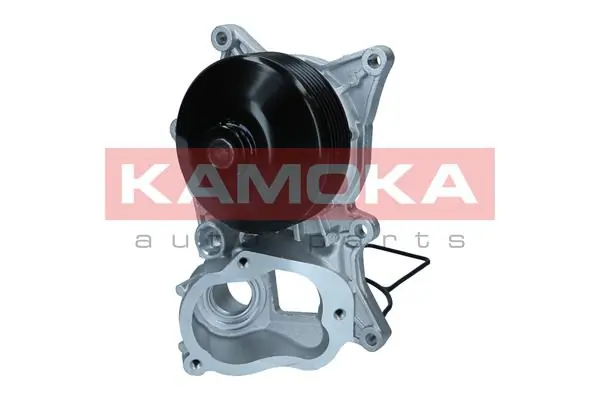 Water Pump, engine cooling T0269