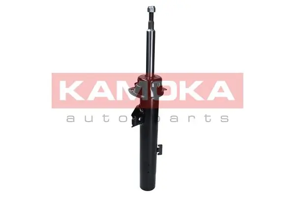 Shock Absorber 2000295