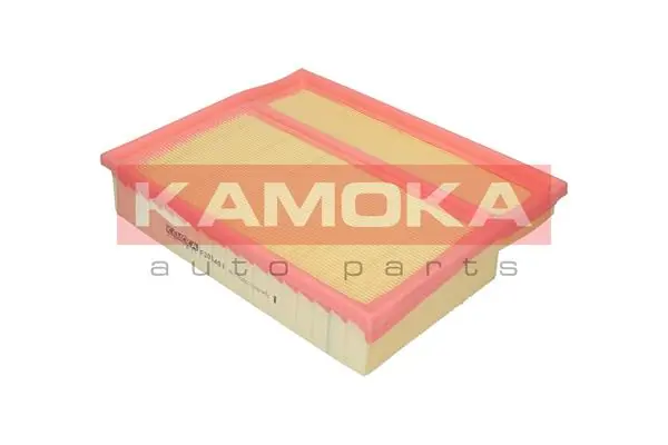 Air Filter F205401