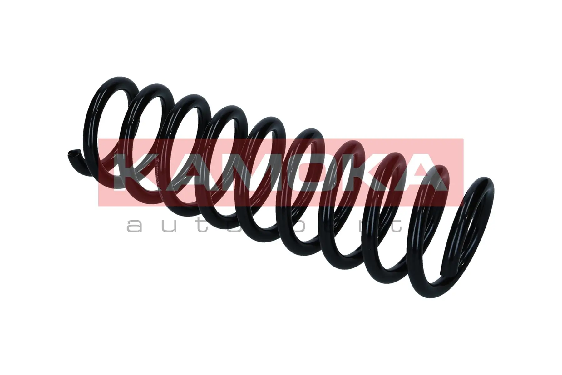 Suspension Spring 2120469