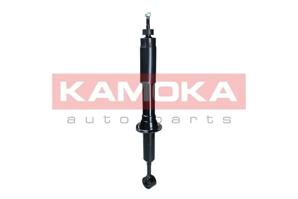 Shock Absorber 2001284