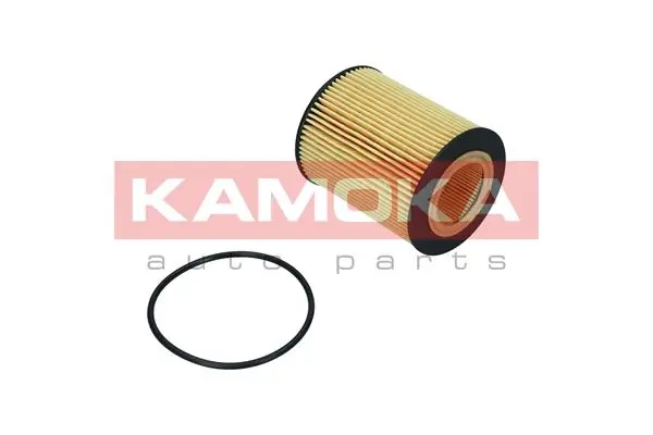 Oil Filter F120001