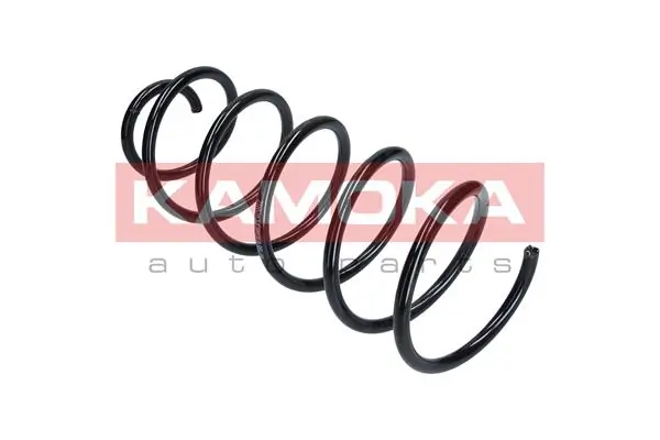 Suspension Spring 2110263