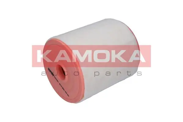 Air Filter F248701