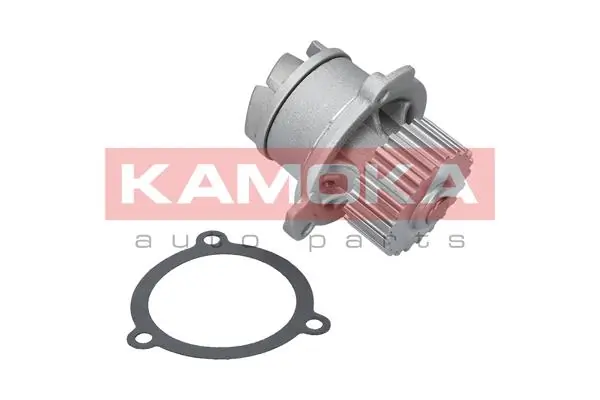 Water Pump, engine cooling T0184
