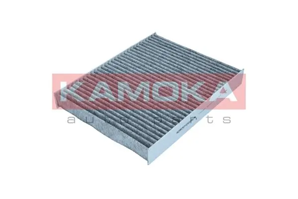 Filter, cabin air F502801