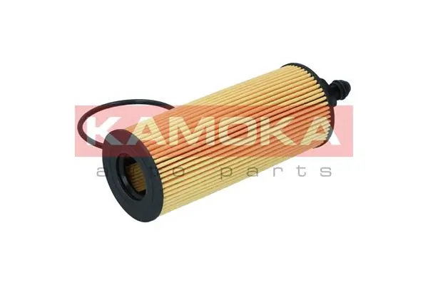 Oil Filter F122901