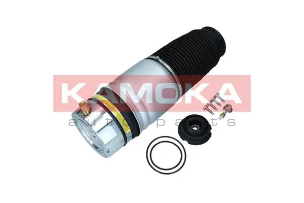 Air Spring, suspension 2079009