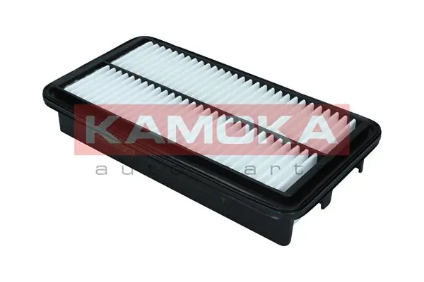 Air Filter F250701