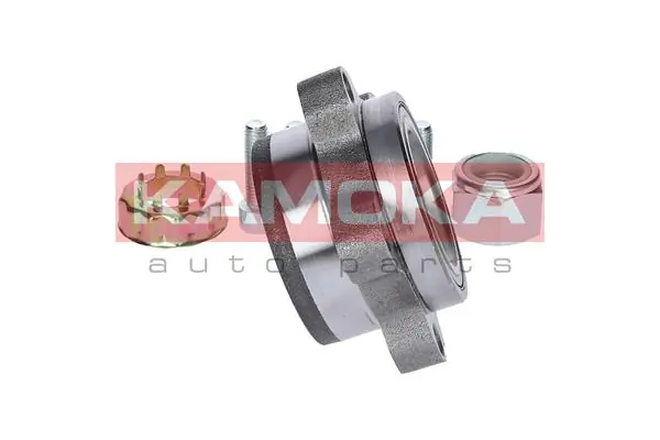 Wheel Bearing Kit 5500173
